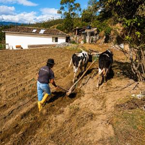 Loma Wasi, Experiencia Rural Kichwa