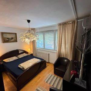 2 bedrooms apart in Cismigiu area - the real center of the city
