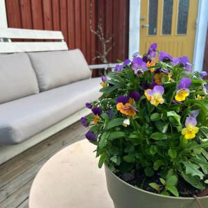Farmstay Outdoor Old Hunters Cabin, 2p