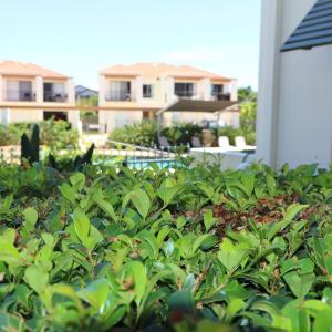 Breakers 1-3 - Ocean Views - Stone Real Estate Yamba