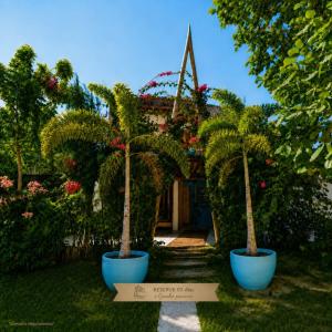 Villa Paihia Jericoacoara