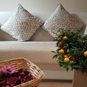 Veronetta lovely apartment