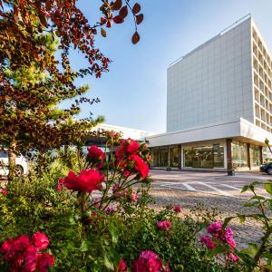 Sunday am Main Taunus Zentrum Frankfurt Sulzbach