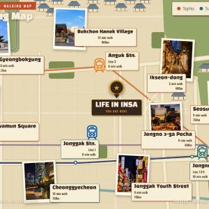 Life In Insa