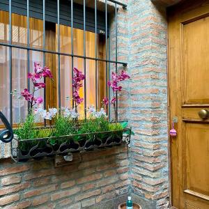 Pozzo Di Mezzo B&B