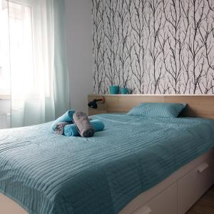 Apartament nad Odrą