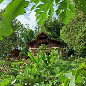 Bukit Lawang - Batu Kapal Rimba House