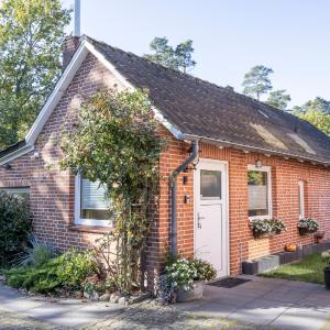 Ferienwohnungen Villa Lütt