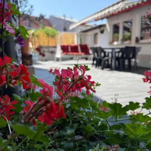 Altstadtnest mit großem Garten