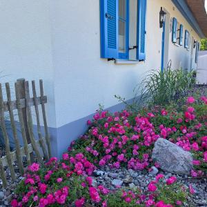 Ferienhäuser Luv und Lee OVS 106 Neu 20