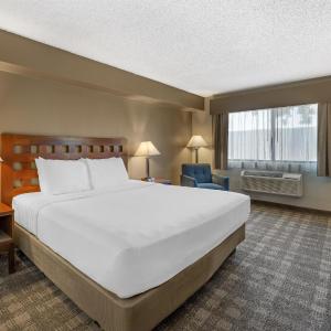Best Western North I-25 Hotel