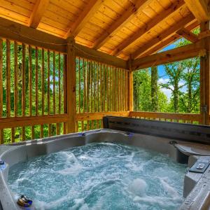 Tree Tops Rise Above It All