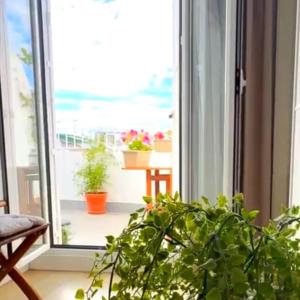 ULLOA Center Apartamento con Terraza privada