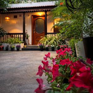 Villa De Jeff