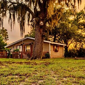 The Lake Alfred Citruswood Cabin