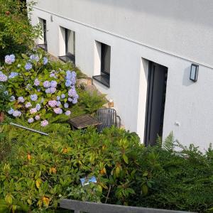 Schönes Appartement am Weser-Radweg mit neuen Betten