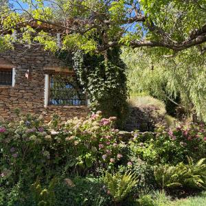 Las Casas del Nogal - La Casita en Sierra Nevada