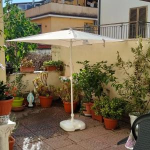 loft indipendente con giardino a Roma Tor vergata