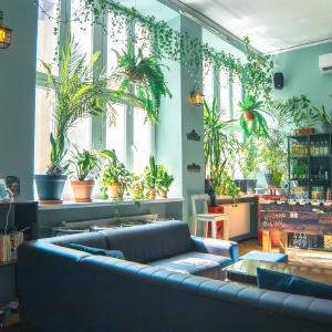 The Little Havana Party Hostel