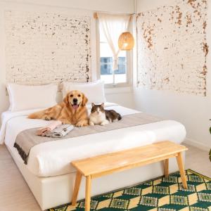 Pet Friendly Luna & Local Oldtown Bangkok