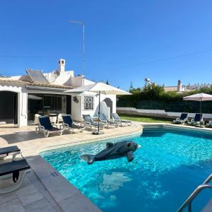 Strip - Private Pool - 12 Guests - Albufeira