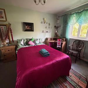 Cosy room in London Wembley