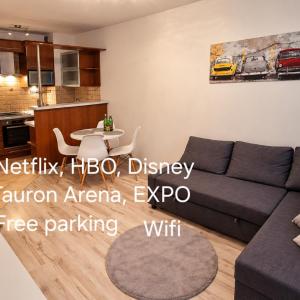 Apartament Sołtysowska 10d NEAR Tauron Arena, EXPO