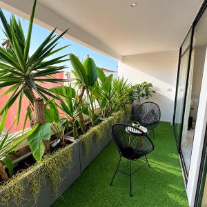 Stay IN GAUTHIER studio M