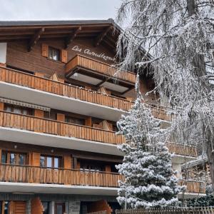 Avouitzons Medran Apartments - Ski-in Ski-out 30 meters from Medran lift and 40 meters from W Hotel