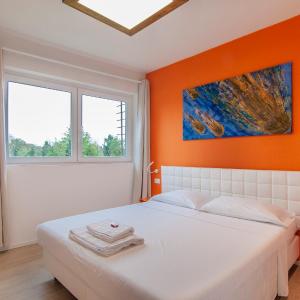 Kedimore - Suite Color House