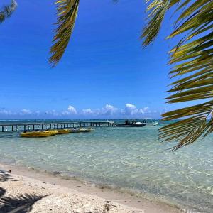 MOOREA - Tropical Soul