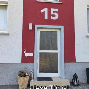 Zweibettzimmer in einer Wohnung mit Katzen