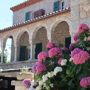 Castell Rose