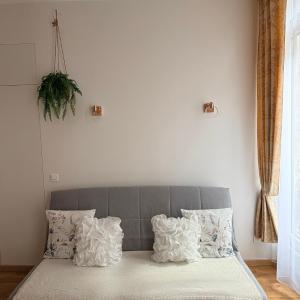 Chez Zenovia