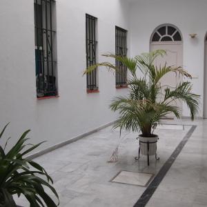 Apartamento Corazón de Triana