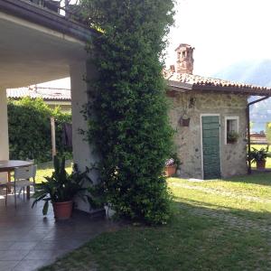 Il Gelsomino
