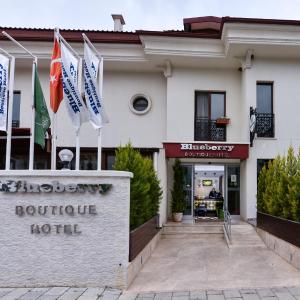Blueberry Boutique Hotel