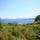 Udvendig udsigt over Apartments with parking space Orebic, Peljesac - 10423