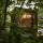 Käytävä Tiny House Pioneer 6 - Green Tiny Village Harz