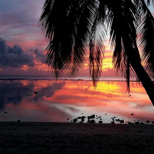 Sunset Palms Rarotonga