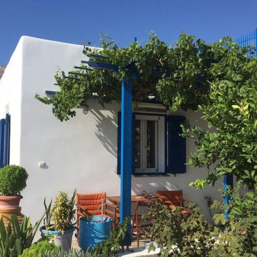 Cycladic houses in rural surrounding 3