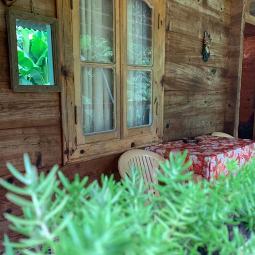 Wooden House Tsikhisdziri