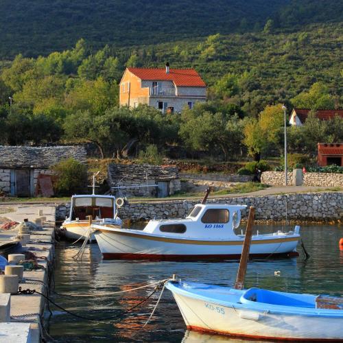 Apartments by the sea Kneza, Korcula - 9164