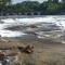 Fewo Near Rheinfall