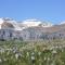 Albergo Diffuso Faller - Faller