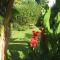 Cote jardin