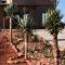 Cheetah View Lodge - Otjiwarongo