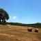 Agriturismo Cisogna