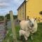 Hidden Hills Waterville - Private Farmhouse