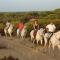 Camping Doñana Playa Foto: Camping Doñana Playa